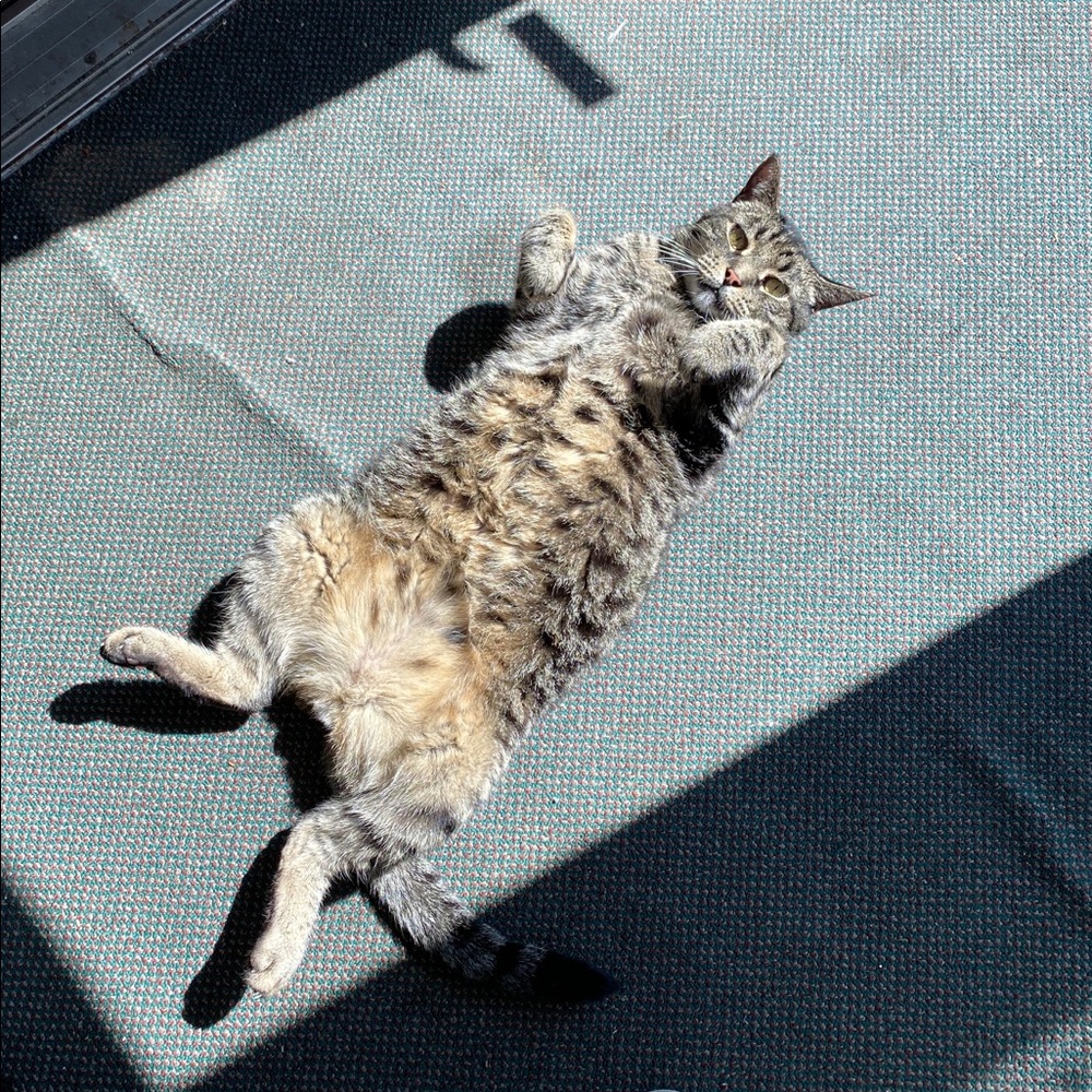 Meet your Posher, Kaitlyn